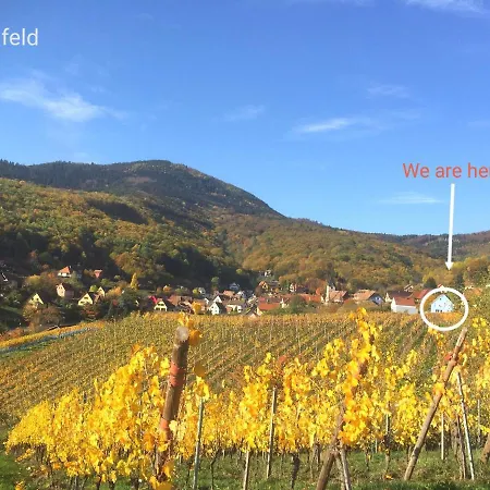 Janea Deep Red House Villa